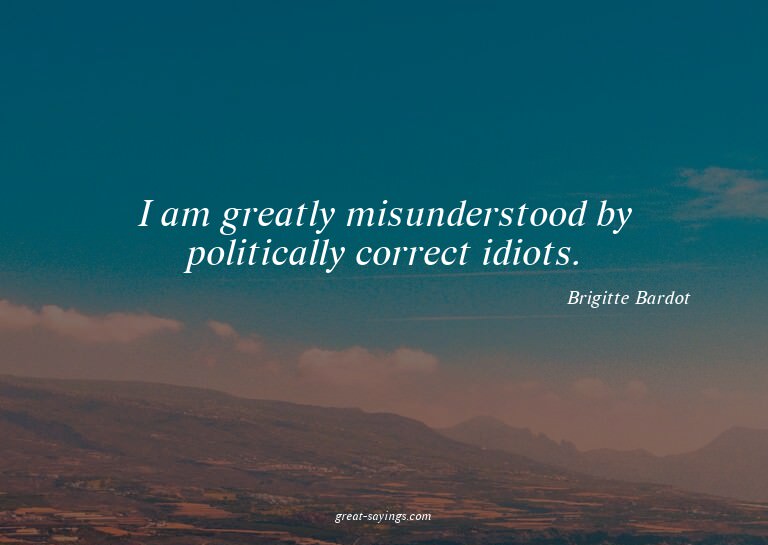 I am greatly misunderstood by politically correct idiot