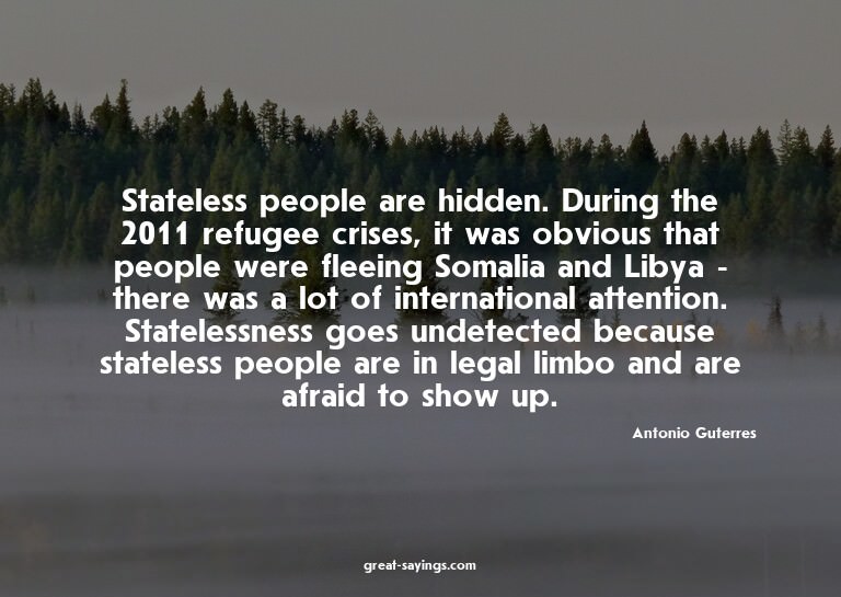 Stateless people are hidden. During the 2011 refugee cr