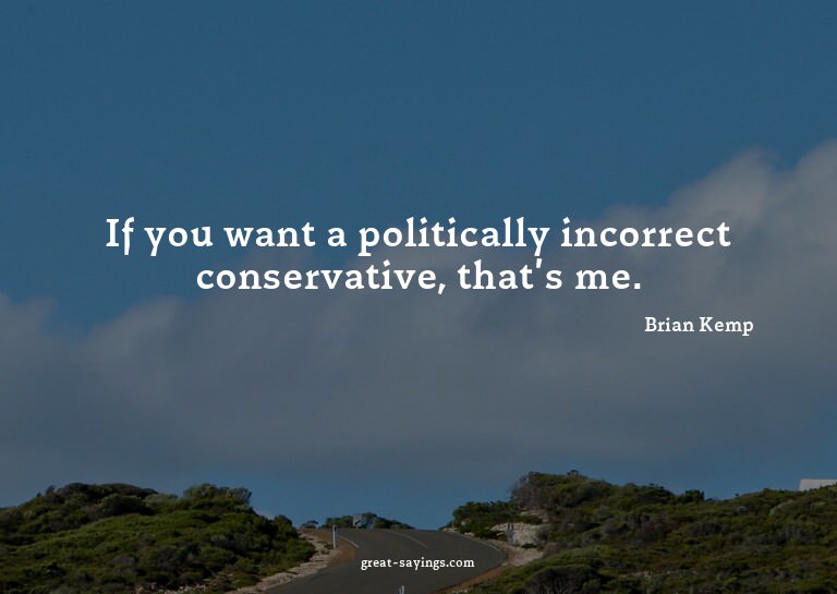 If you want a politically incorrect conservative, that'