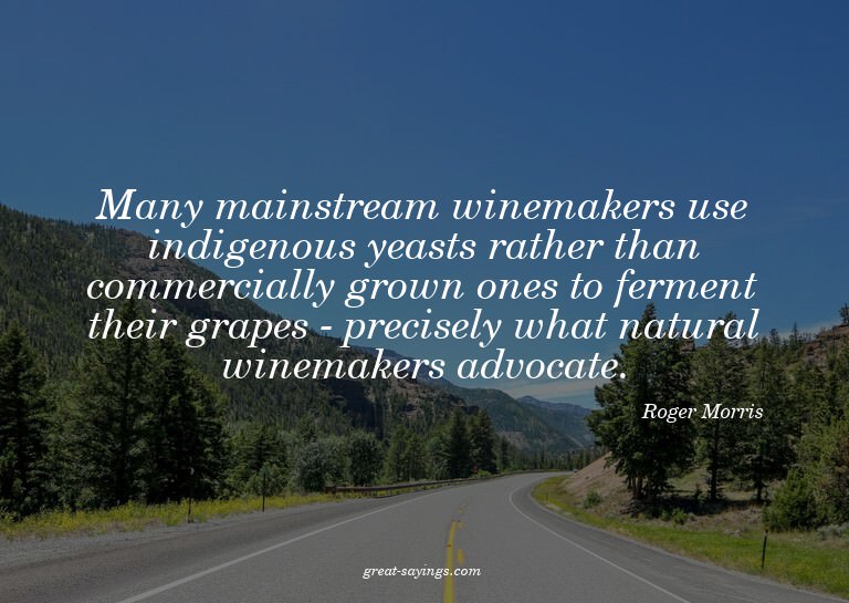 Many mainstream winemakers use indigenous yeasts rather