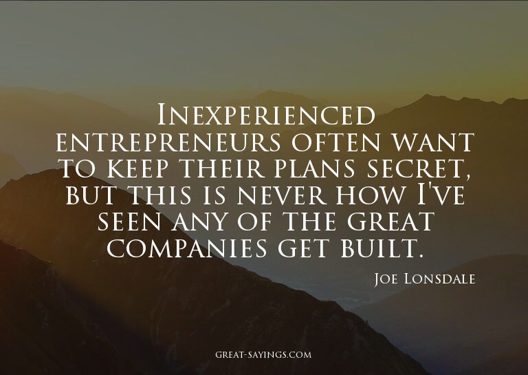 Inexperienced entrepreneurs often want to keep their pl
