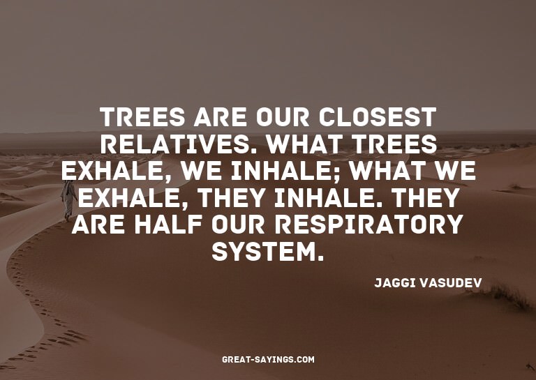 Trees are our closest relatives. What trees exhale, we