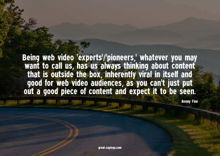 Being web video 'experts'/'pioneers,' whatever you may