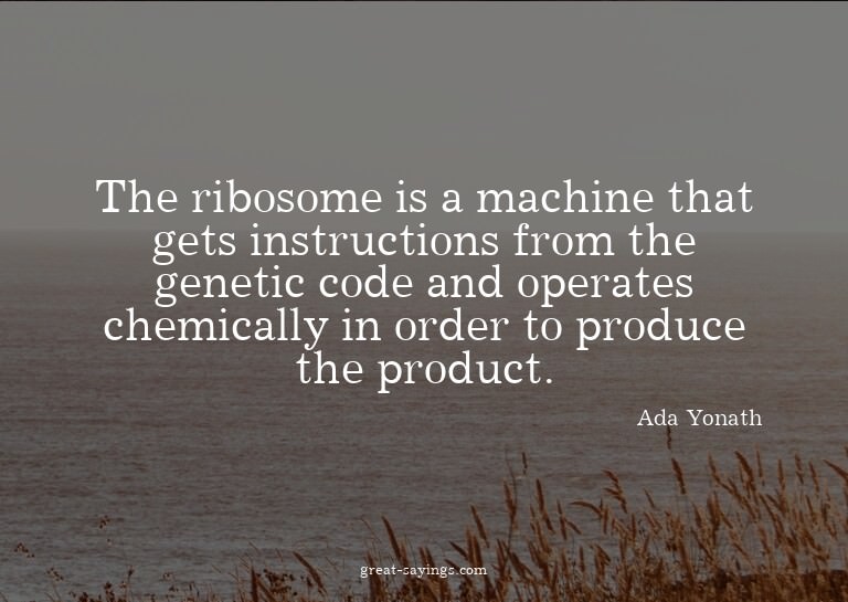 The ribosome is a machine that gets instructions from t