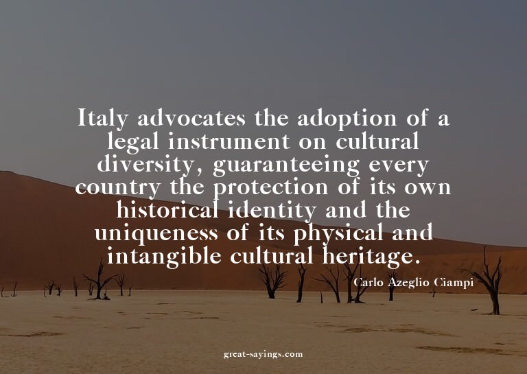 Italy advocates the adoption of a legal instrument on c