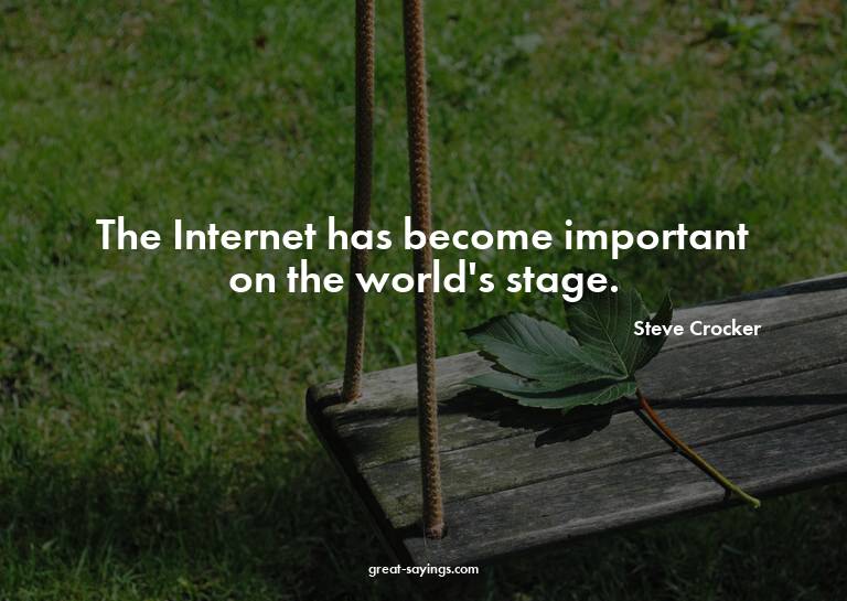 The Internet has become important on the world's stage.