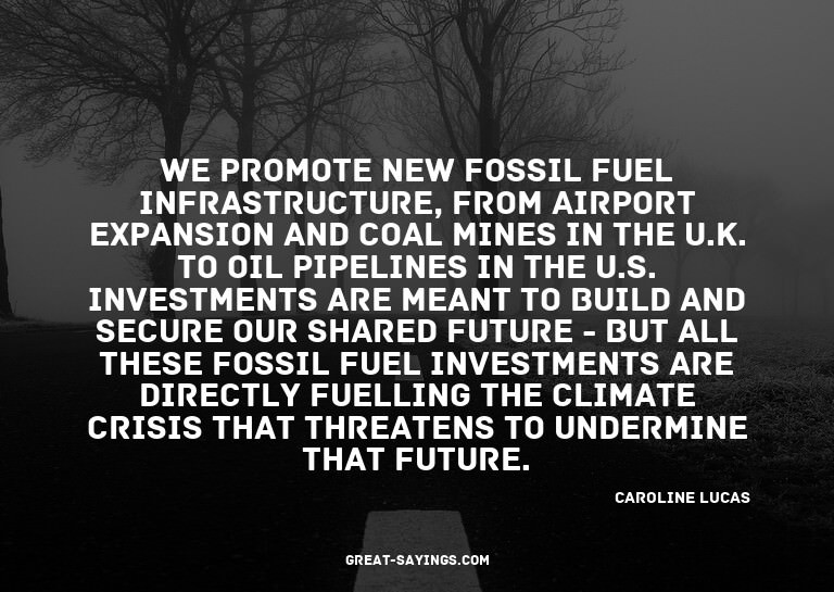We promote new fossil fuel infrastructure, from airport
