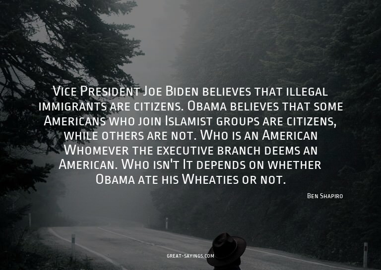 Vice President Joe Biden believes that illegal immigran