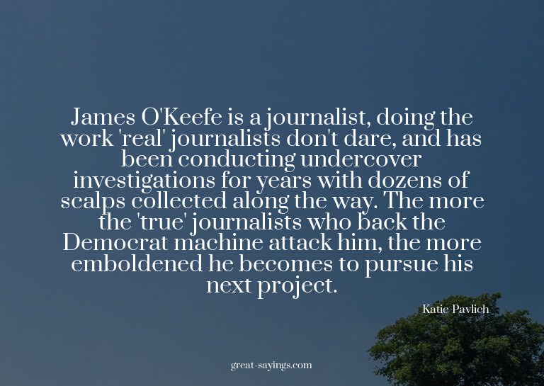 James O'Keefe is a journalist, doing the work 'real' jo