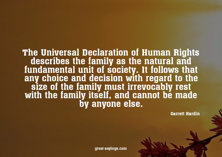 The Universal Declaration of Human Rights describes the
