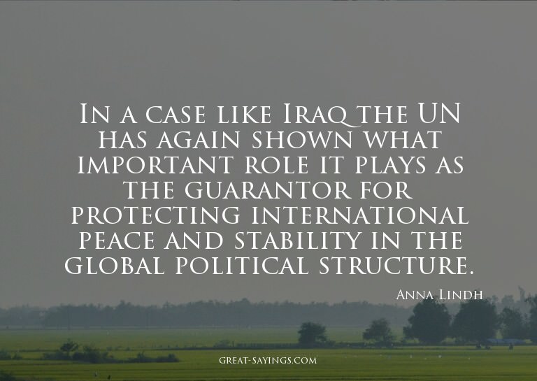 In a case like Iraq the UN has again shown what importa