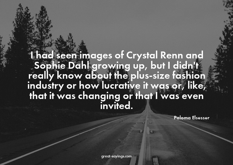 I had seen images of Crystal Renn and Sophie Dahl growi