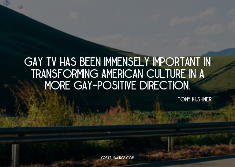 Gay TV has been immensely important in transforming Ame
