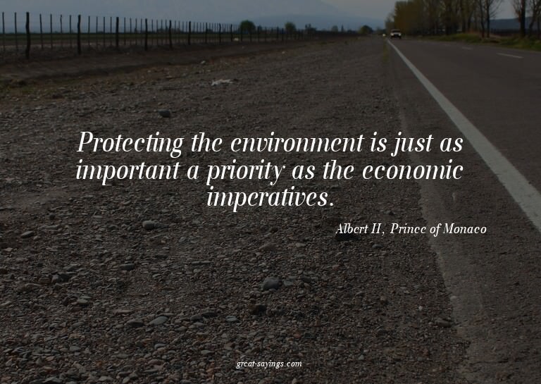 Protecting the environment is just as important a prior