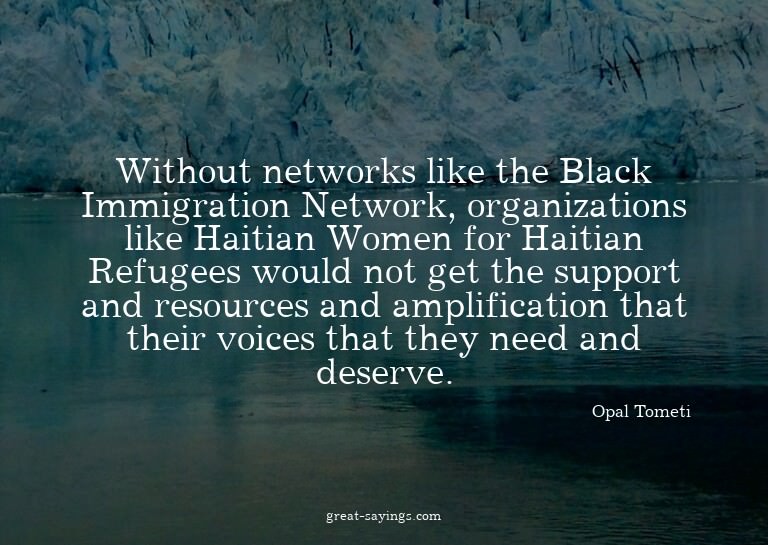 Without networks like the Black Immigration Network, or