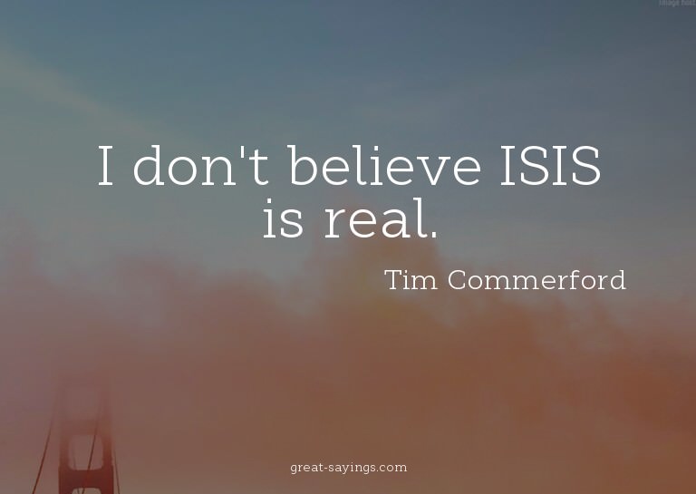 I don't believe ISIS is real.

