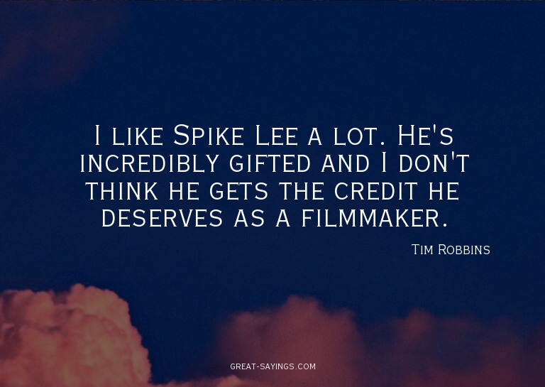 I like Spike Lee a lot. He's incredibly gifted and I do