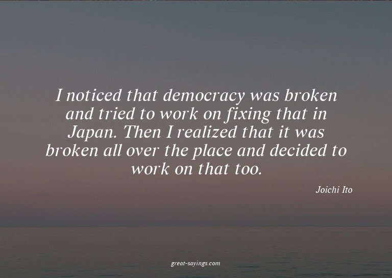 I noticed that democracy was broken and tried to work o