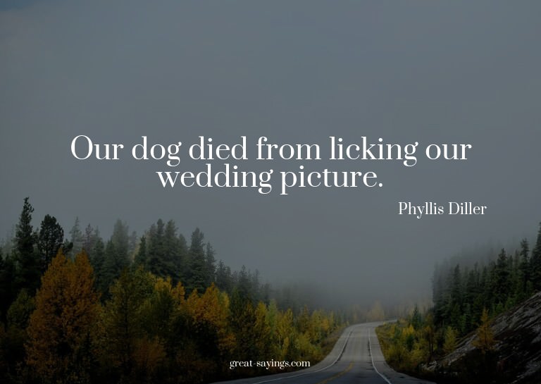 Our dog died from licking our wedding picture.

