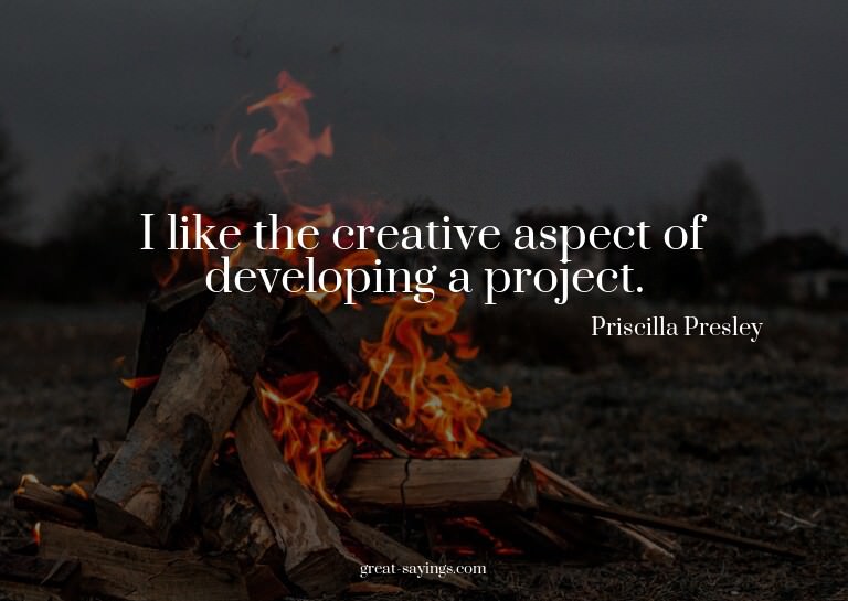 I like the creative aspect of developing a project.

