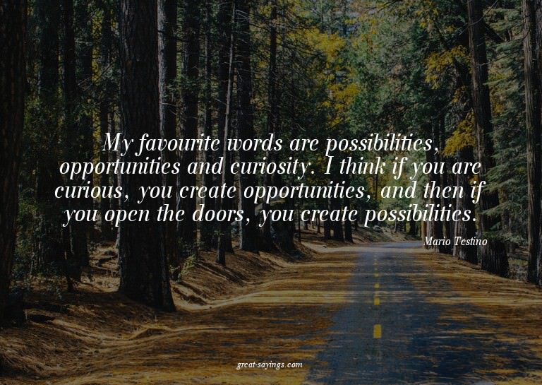 My favourite words are possibilities, opportunities and