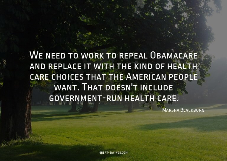 We need to work to repeal Obamacare and replace it with