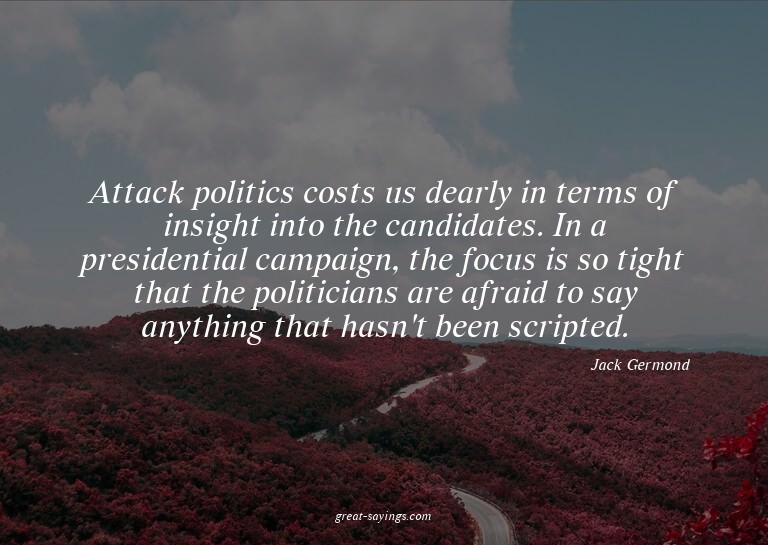 Attack politics costs us dearly in terms of insight int
