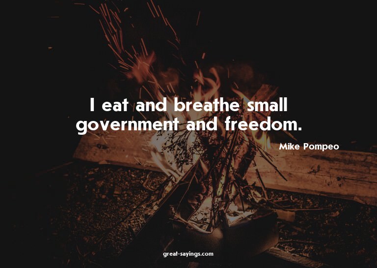 I eat and breathe small government and freedom.

