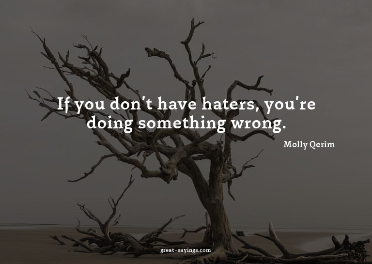 If you don't have haters, you're doing something wrong.