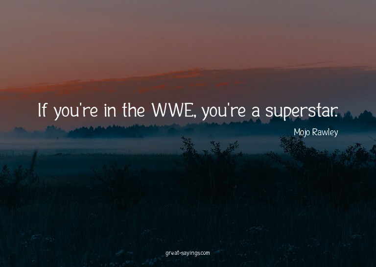 If you're in the WWE, you're a superstar.


