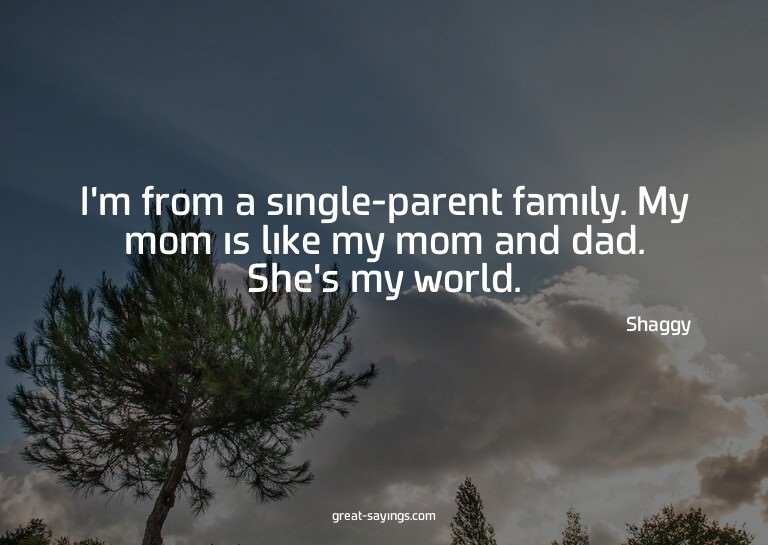 I'm from a single-parent family. My mom is like my mom