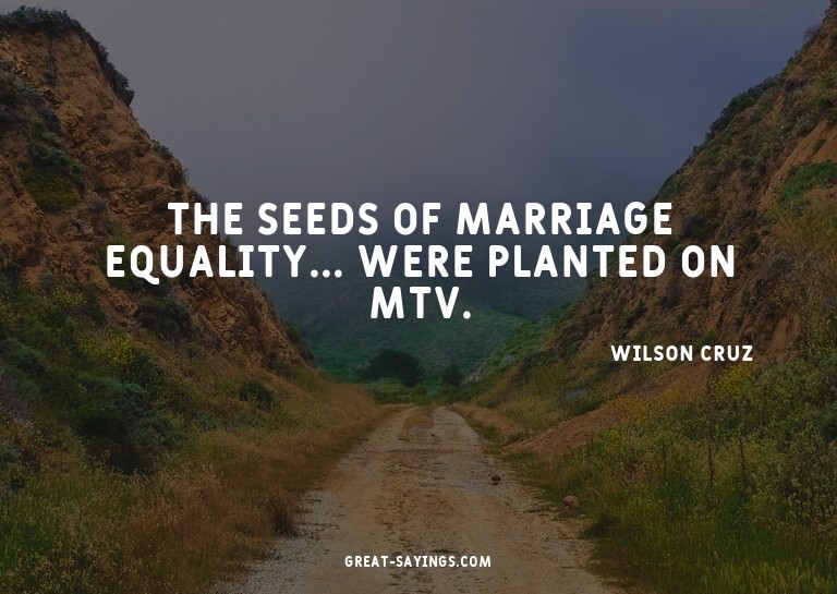 The seeds of marriage equality... were planted on MTV.

