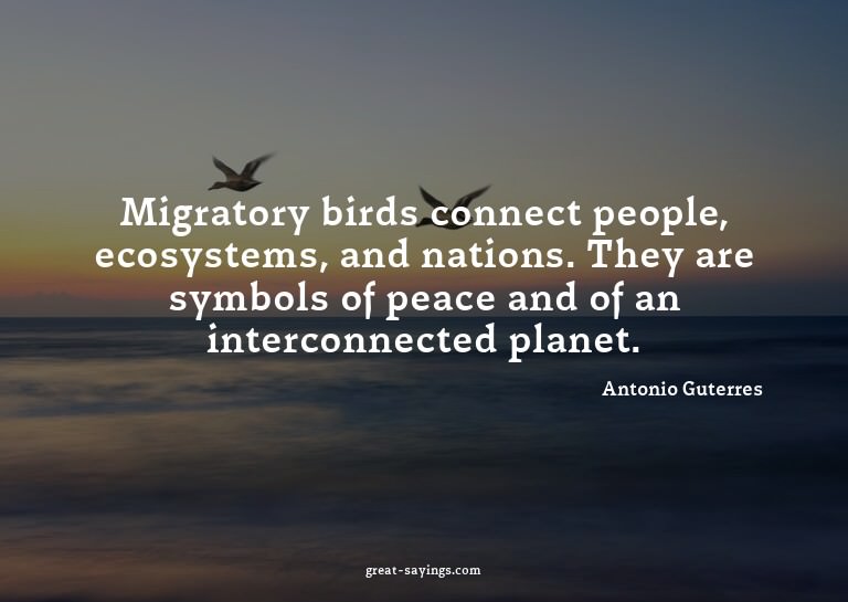 Migratory birds connect people, ecosystems, and nations