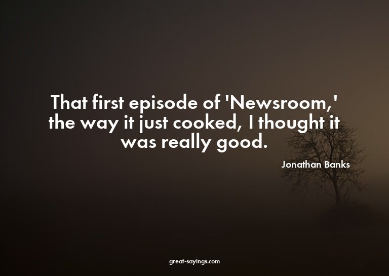 That first episode of 'Newsroom,' the way it just cooke