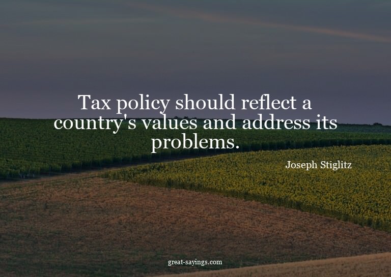 Tax policy should reflect a country's values and addres