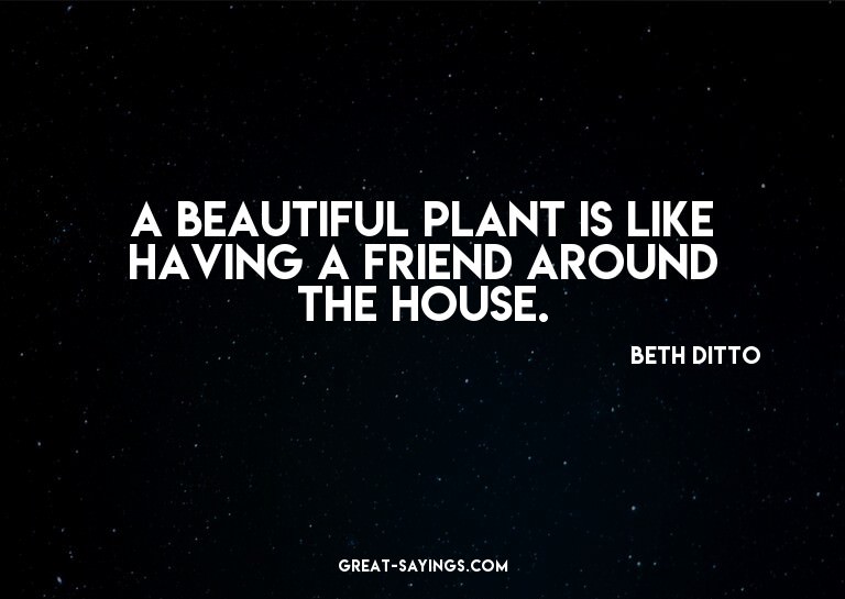 A beautiful plant is like having a friend around the ho