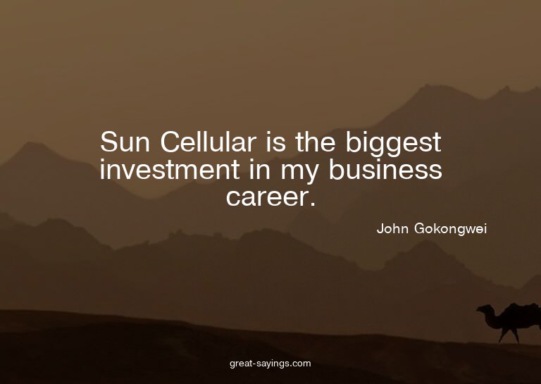 Sun Cellular is the biggest investment in my business c