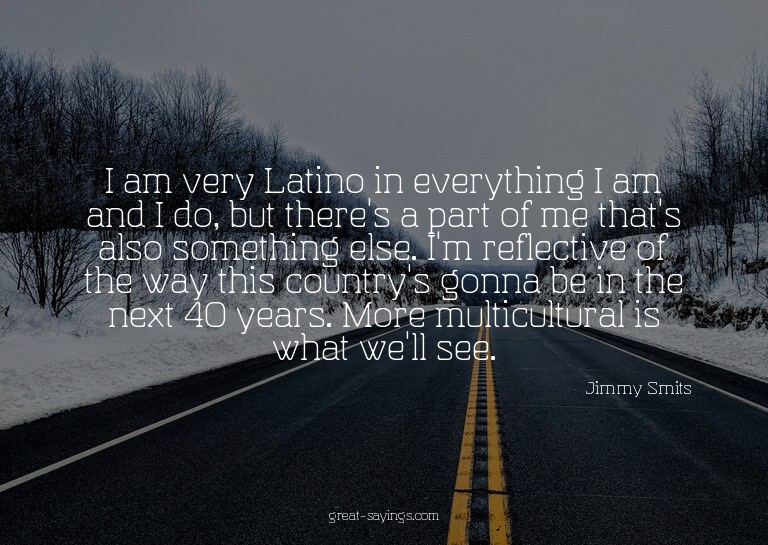 I am very Latino in everything I am and I do, but there
