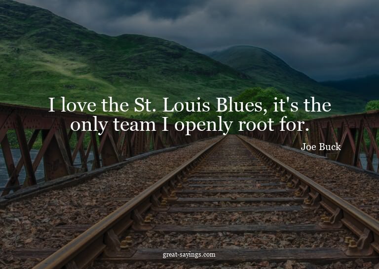 I love the St. Louis Blues, it's the only team I openly