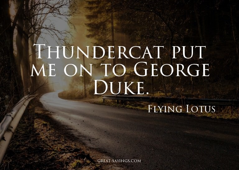 Thundercat put me on to George Duke.

