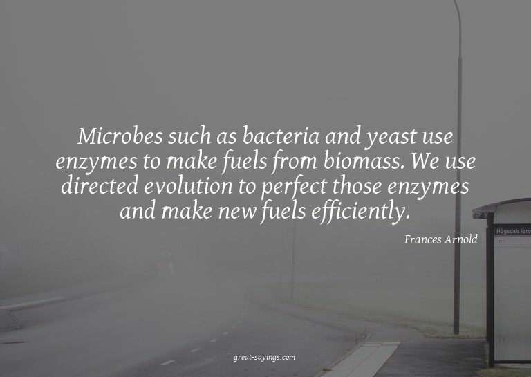 Microbes such as bacteria and yeast use enzymes to make