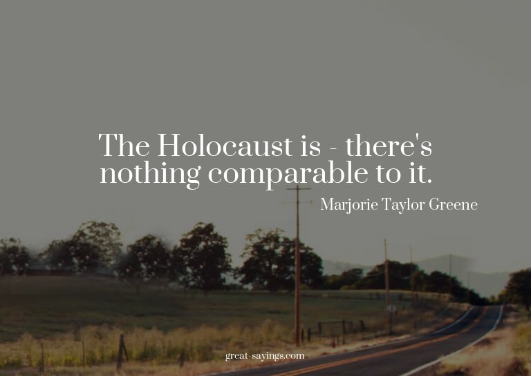 The Holocaust is - there's nothing comparable to it.

