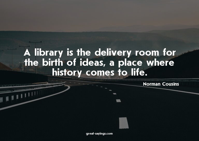 A library is the delivery room for the birth of ideas,