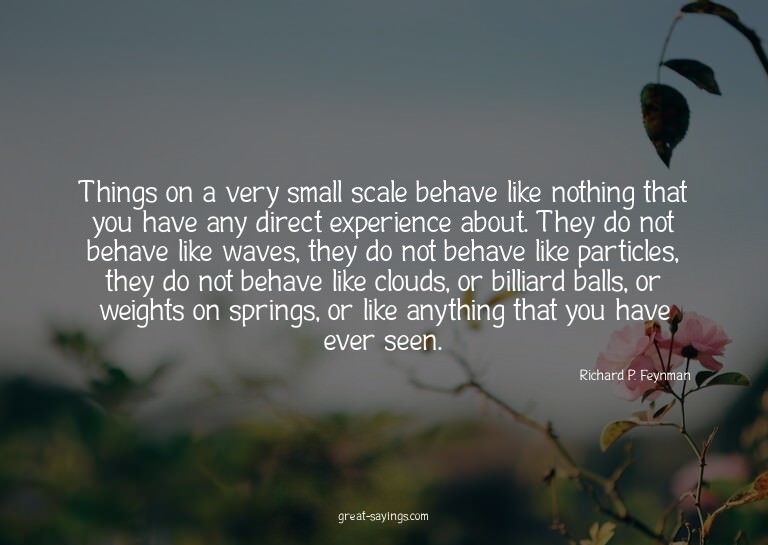 Things on a very small scale behave like nothing that y