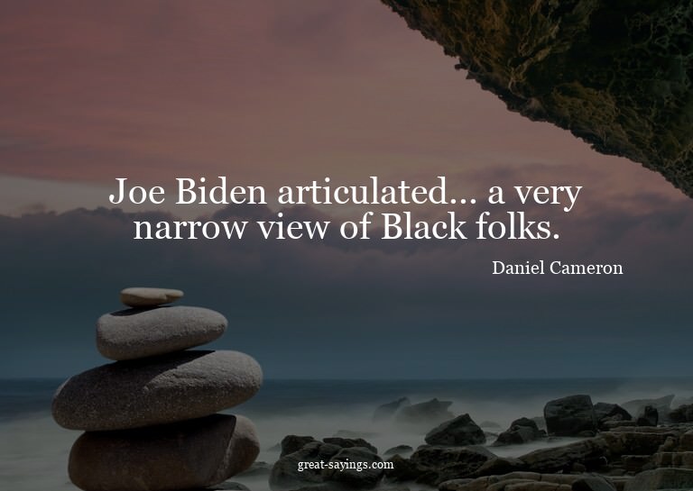 Joe Biden articulated... a very narrow view of Black fo