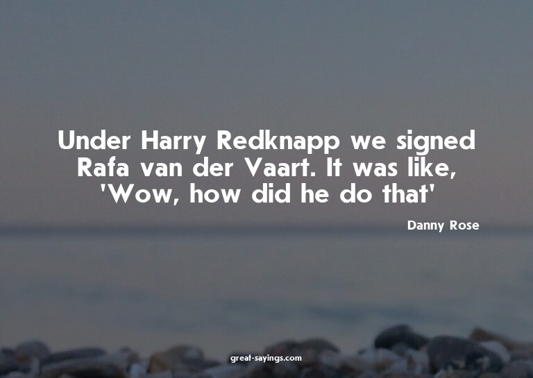 Under Harry Redknapp we signed Rafa van der Vaart. It w