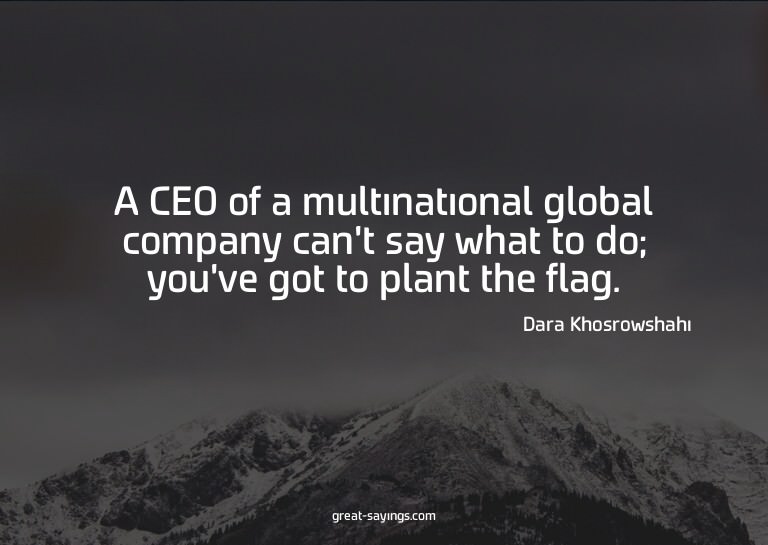 A CEO of a multinational global company can't say what