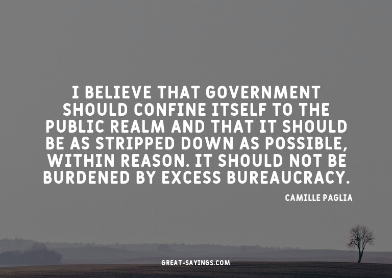 I believe that government should confine itself to the