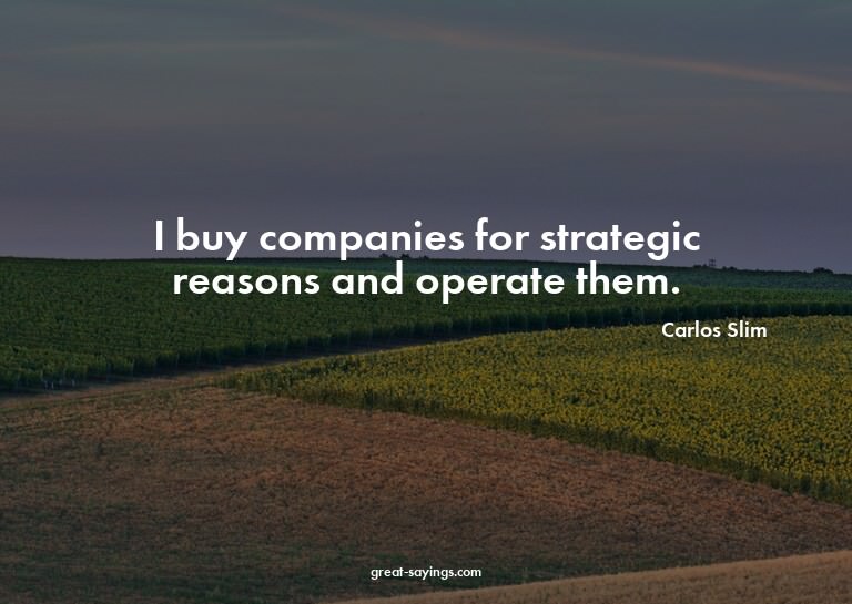 I buy companies for strategic reasons and operate them.