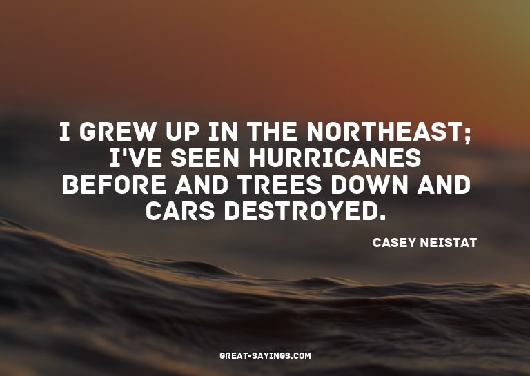 I grew up in the Northeast; I've seen hurricanes before